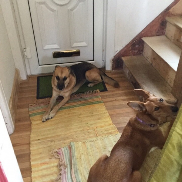 Out of the comfort zone