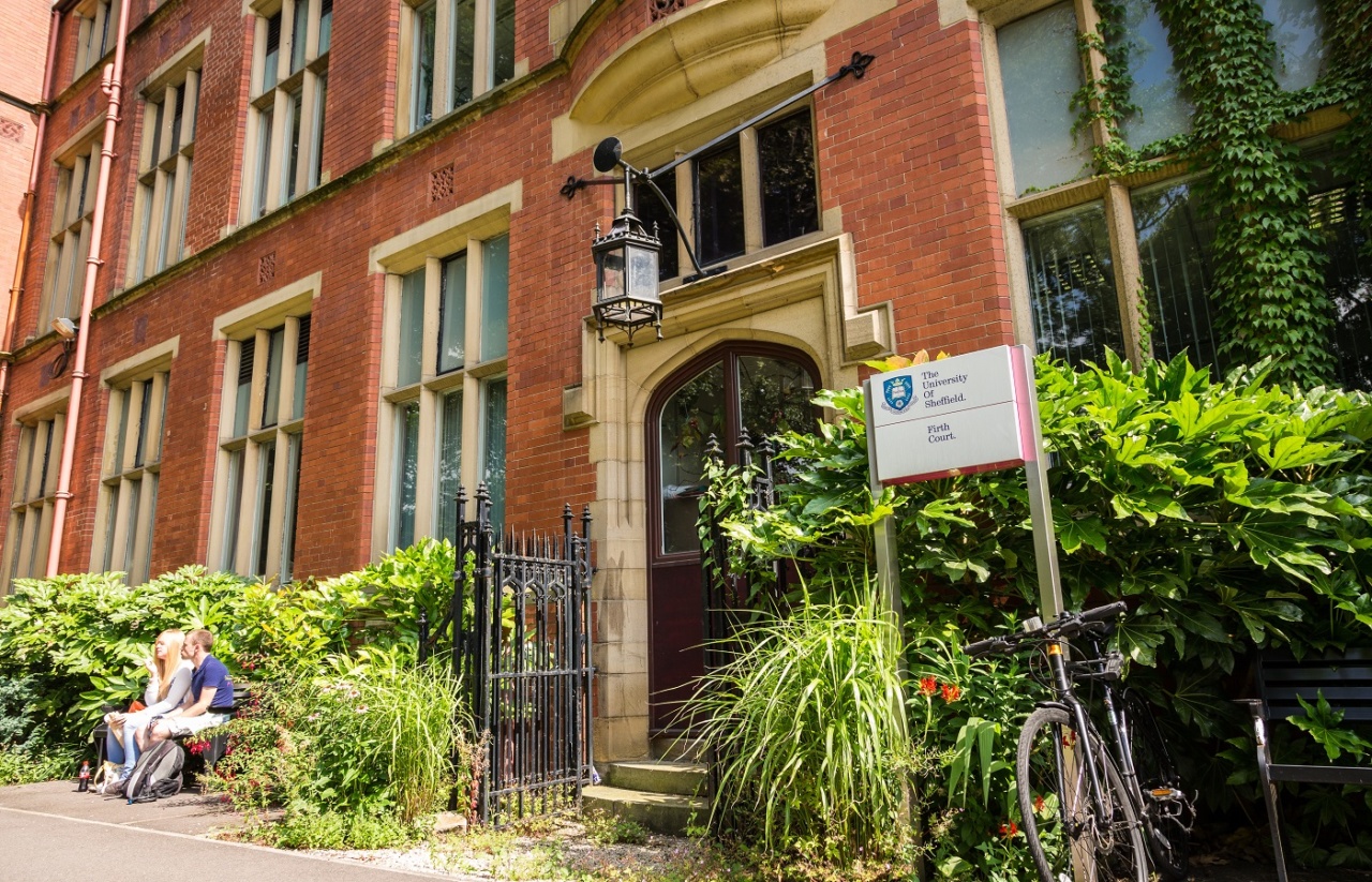university of sheffield
