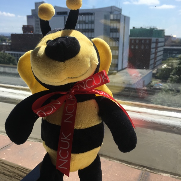 NCUK welcomes Professor Bee