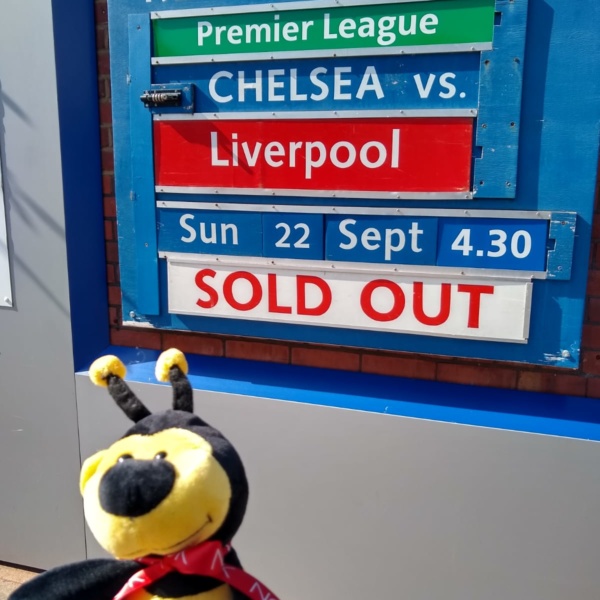 Professor Bee’s Summer Journey