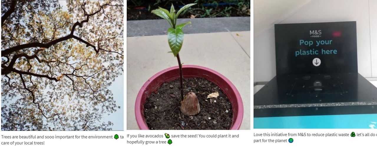 Piper incorporates sustainability into her day to day life and has posted via our Chat to our Students page about ways in which people can help support the planet through planting and recycling!