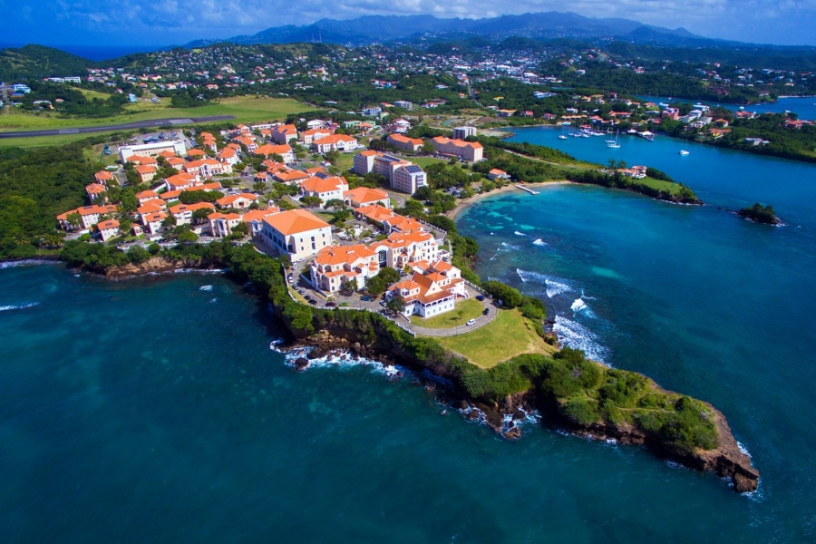 st george's university